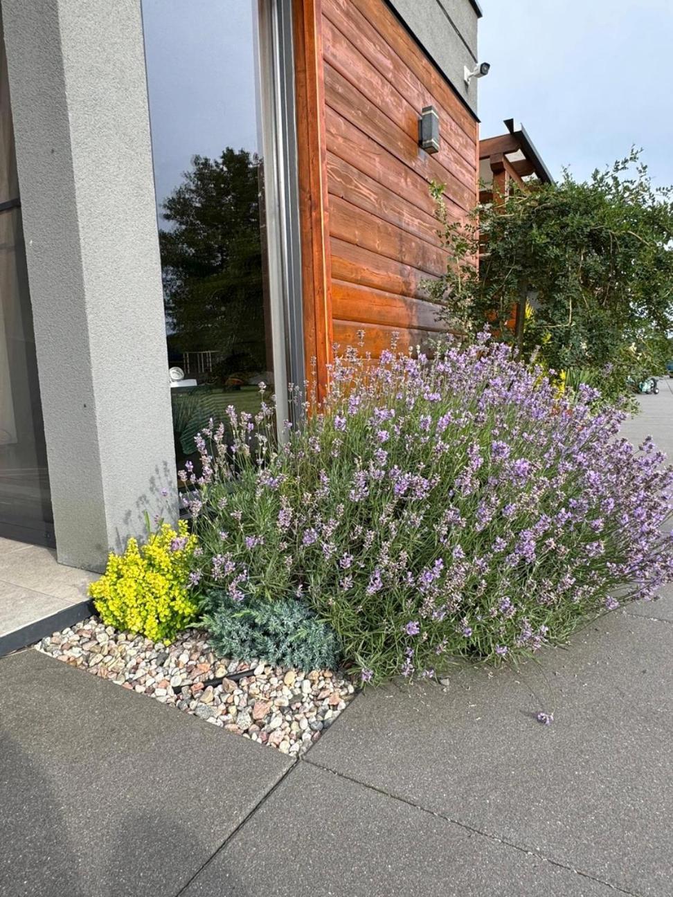 Cisza Bungalows Village / Blisko Natury Nowecin Exterior foto